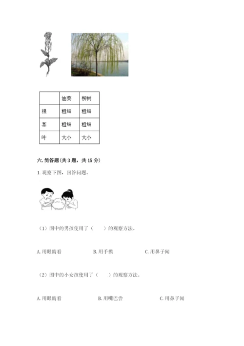 教科版科学一年级上册第一单元《植物》测试卷及完整答案1套.docx