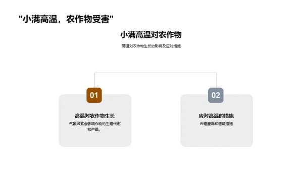 小满气象与农业