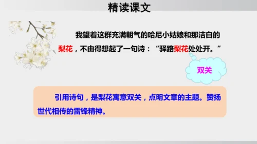 15 驿路梨花 课件