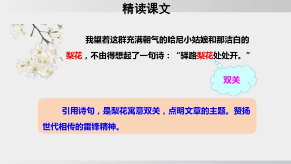 15 驿路梨花 课件