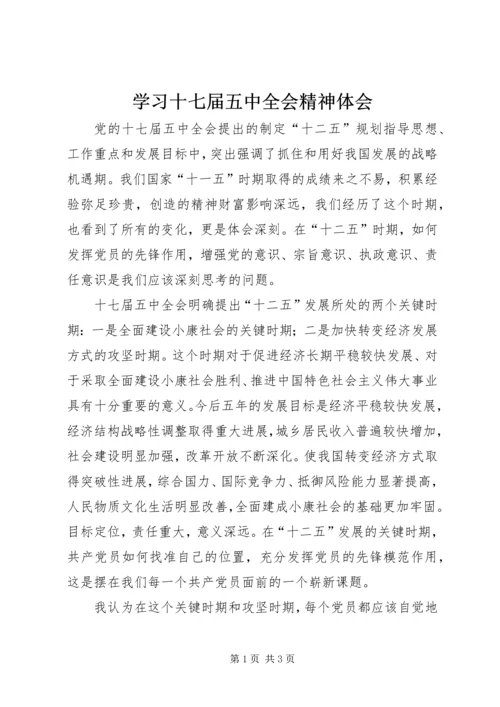 学习十七届五中全会精神体会.docx