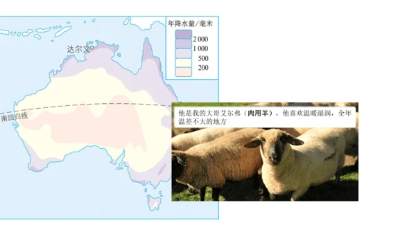 人文地理上册 3.4.2 现代化的牧场 课件（共32张PPT）