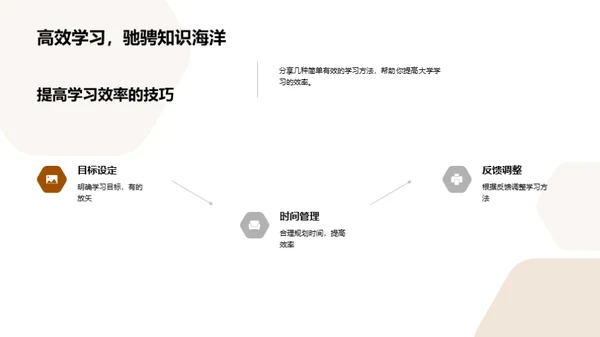 大学生涯的全面规划