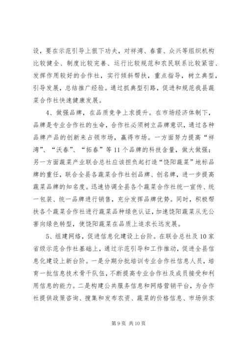 县蔬菜专业合作社调研报告.docx