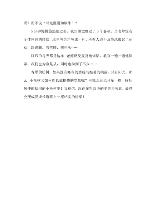 初中军训心得体会感想.docx