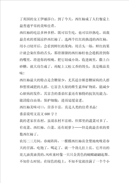 番茄说明文范文600字5篇