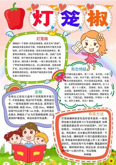 灯笼椒成长日记小报植物生长手抄报电子小报