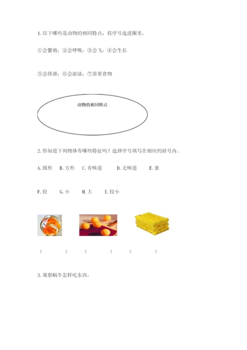 教科版小学科学一年级下册期末测试卷附完整答案（全优）.docx