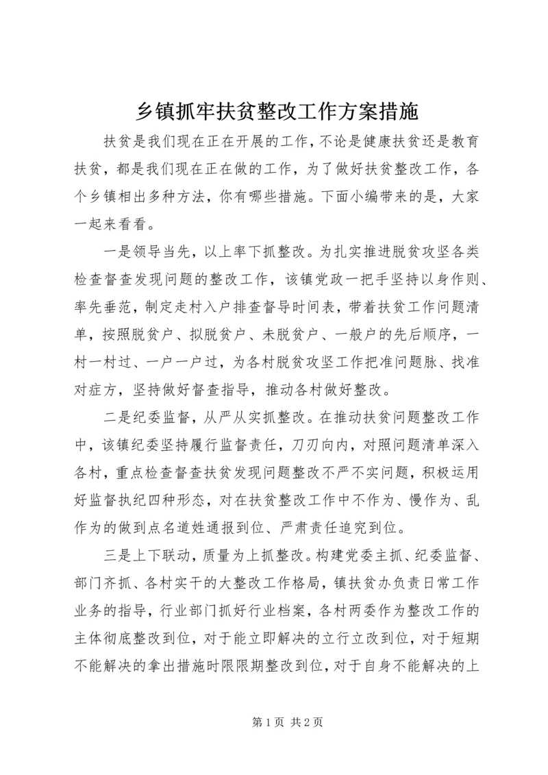 乡镇抓牢扶贫整改工作方案措施.docx
