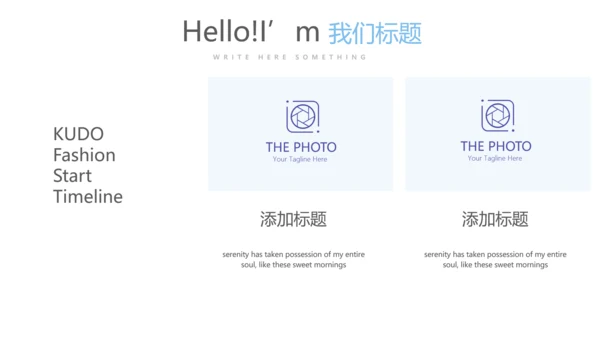 医疗医药代表工作总结动态PPT