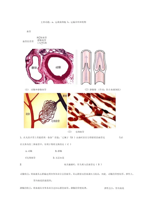 血液循环生物知识点