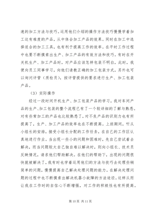 实习实践报告范文.docx