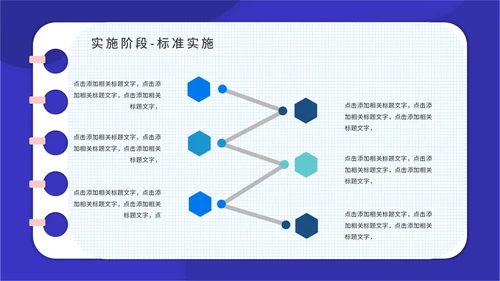 PACA项目实施报告通用PPT模板