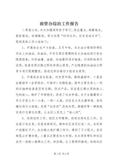 商管办综治工作报告.docx