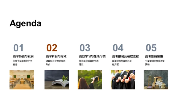 全面解析高考