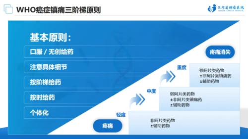 肿瘤医院癌症疼痛规范治疗通用PPT模板