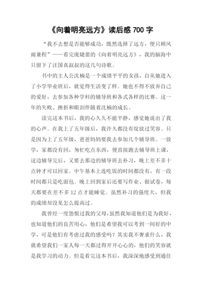 《向着明亮远方》读后感700字.docx