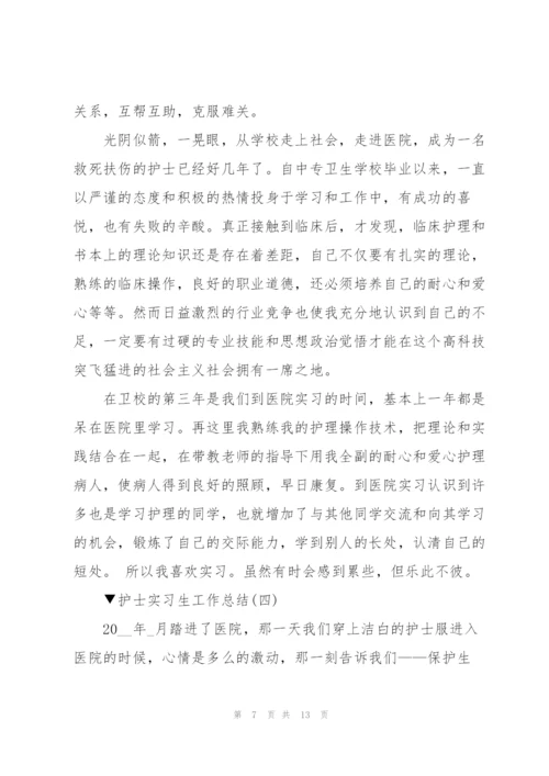 护士实习生工作总结5篇.docx