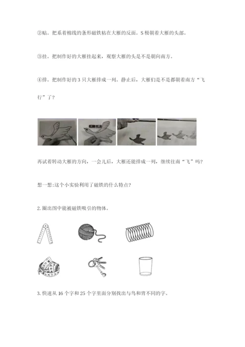 教科版小学科学二年级下册 期末测试卷新版.docx