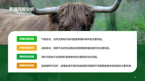 绿色现代养殖流程管理与疾病预防PPT模板