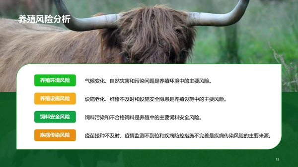 绿色现代养殖流程管理与疾病预防PPT模板