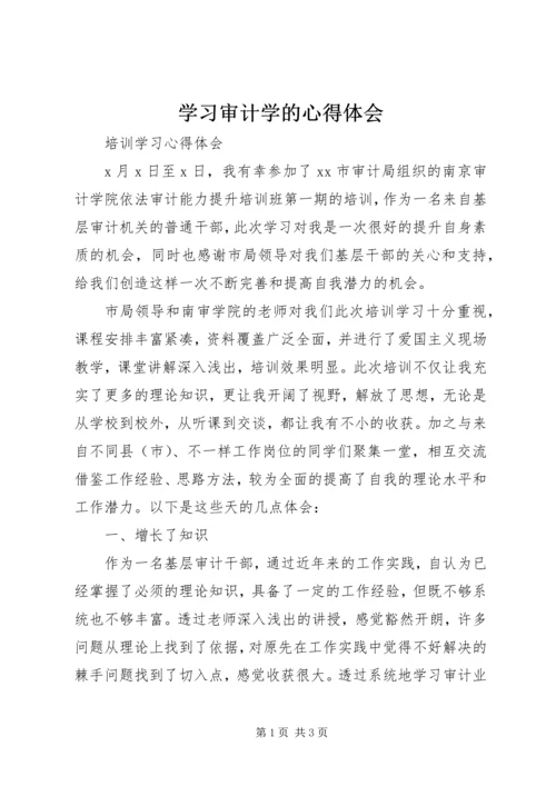 学习审计学的心得体会 (2).docx