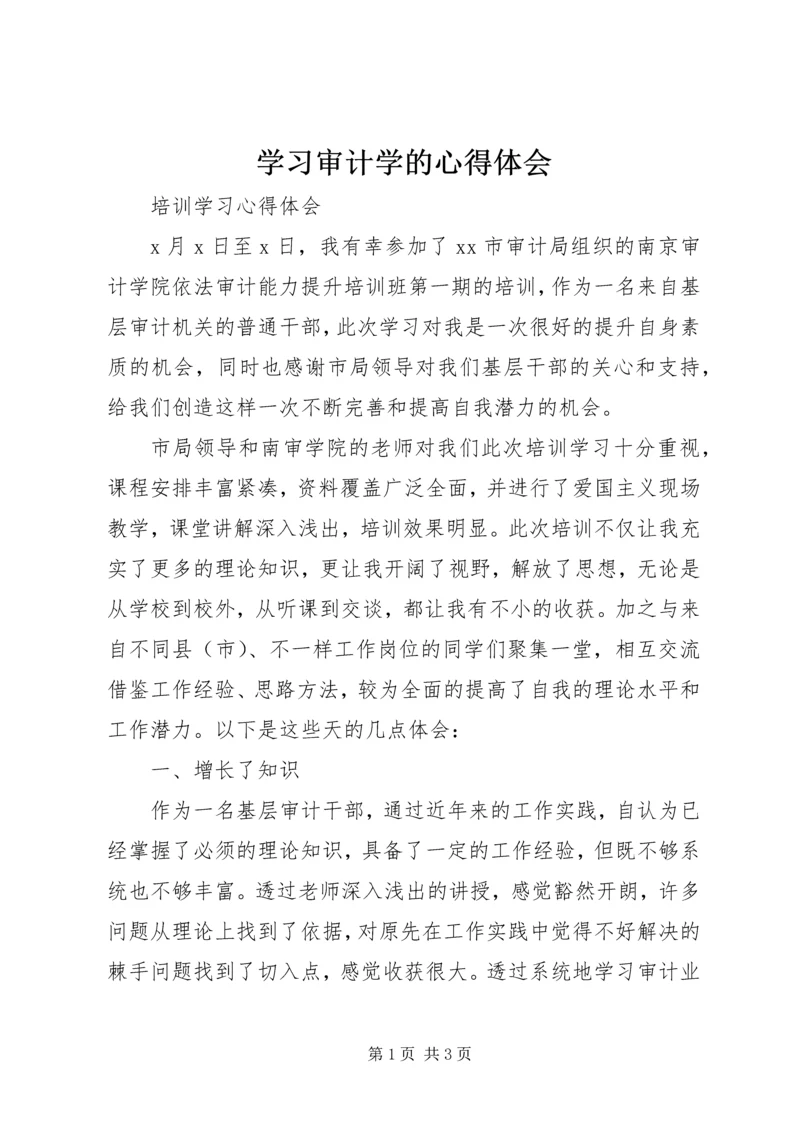学习审计学的心得体会 (2).docx