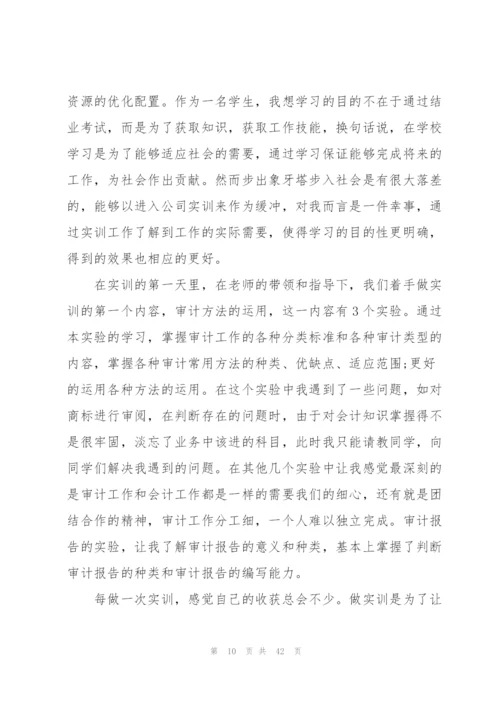 审计程序实训报告体会范本10篇.docx