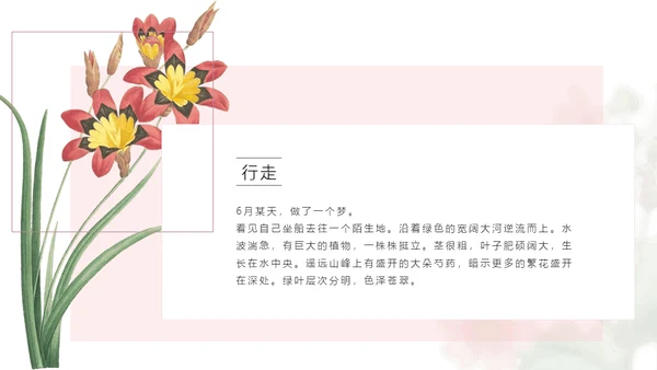 清醒纪植物绘小清新文艺女青年通用PPT模板