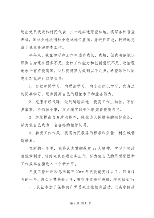 年度工作计划和总结.docx