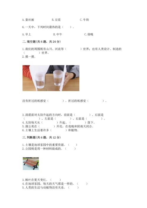 教科版二年级上册科学期末测试卷带答案（黄金题型）.docx
