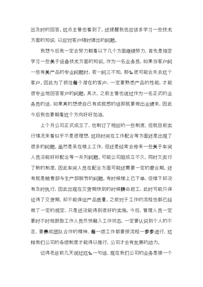 关于业务员年终总结工作汇报及计划