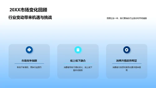 年度总结与未来展望