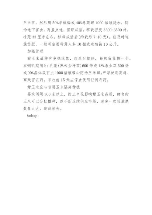 南方甜玉米的种植技术有什么.docx