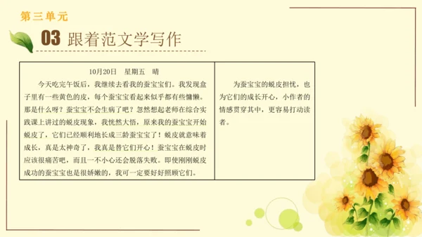 统编版语文四年级上册2024-2025学年度第三单元习作： 写观察日记（课件）
