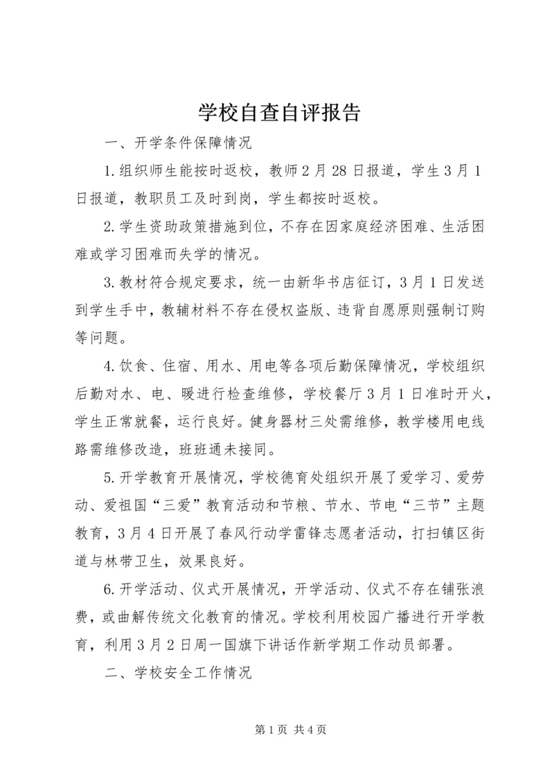 学校自查自评报告 (13).docx