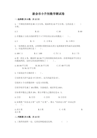 新余市小升初数学测试卷一套.docx