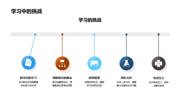 二年级的探索旅程