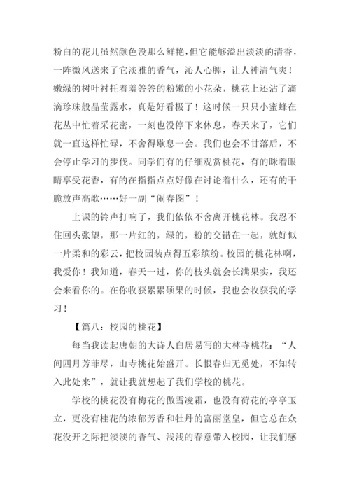 关于描写桃花的作文.docx