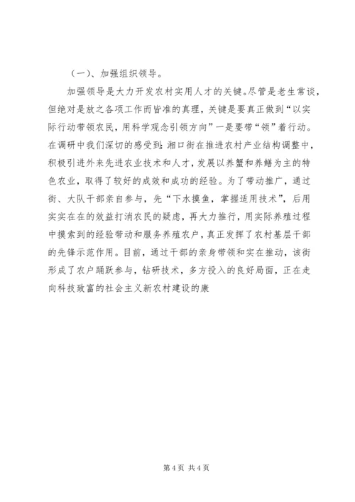 大力开发农村实用人才，助推社会主义新农村建设 (3).docx