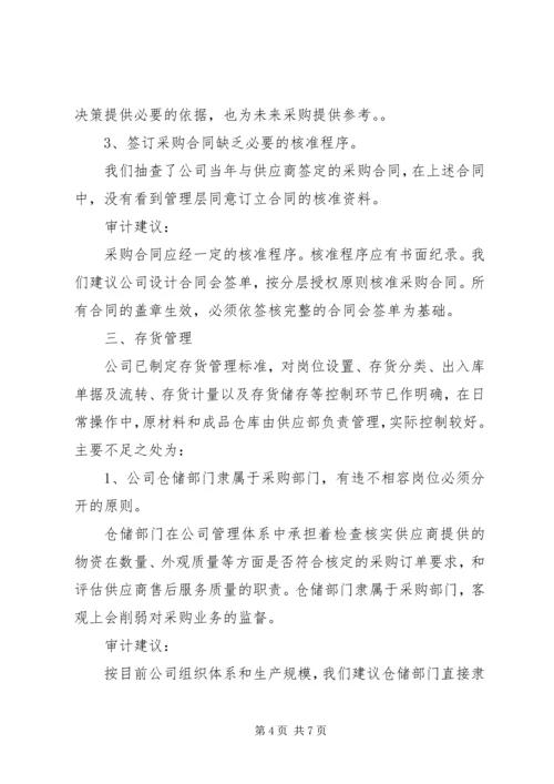 企业内部控制审计报告(3)_1.docx