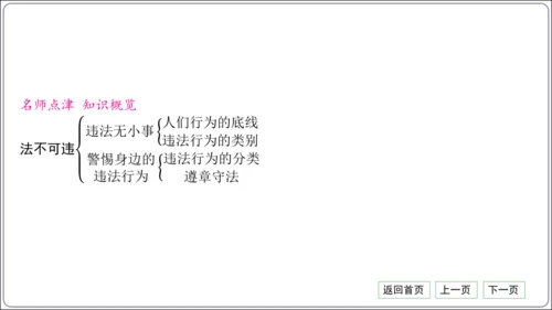 第二单元《遵守社会规则》核心考点梳理读记与精练【统编八上道法期中期末复习】课件(共54张PPT)