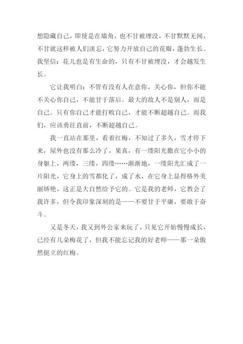 开在墙角的花作文800字.docx