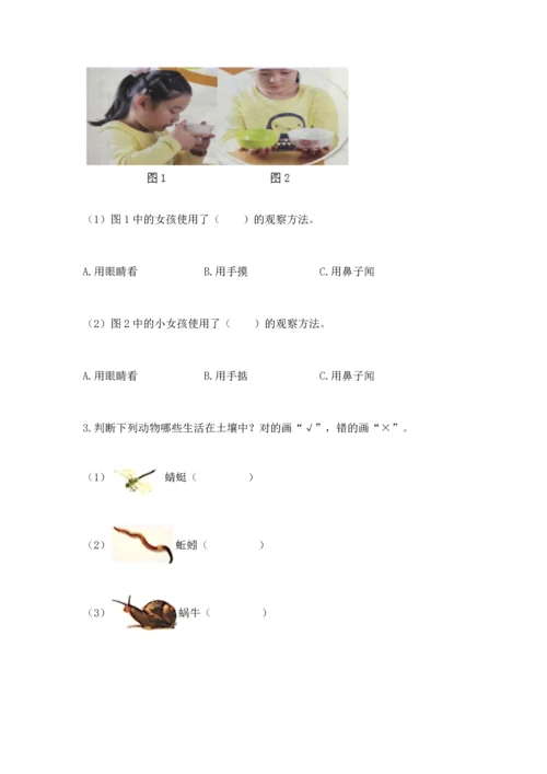 教科版二年级上册科学期末测试卷【精选题】.docx