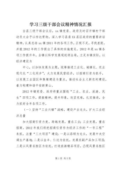 学习三级干部会议精神情况汇报.docx