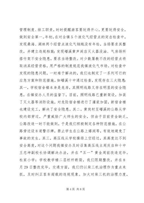 某镇XX年度安全生产工作总结工作计划.docx