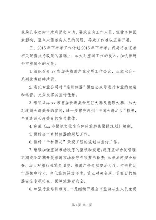 市旅游局上半年工作总结及下半年工作计划.docx