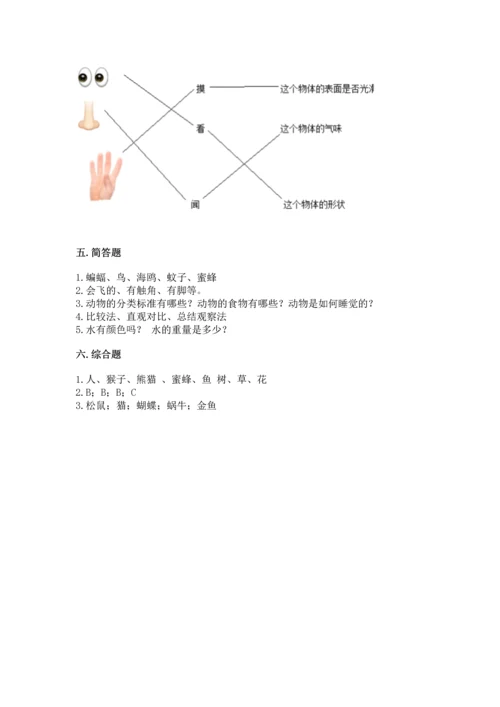 教科版一年级下册科学期末测试卷附参考答案（研优卷）.docx