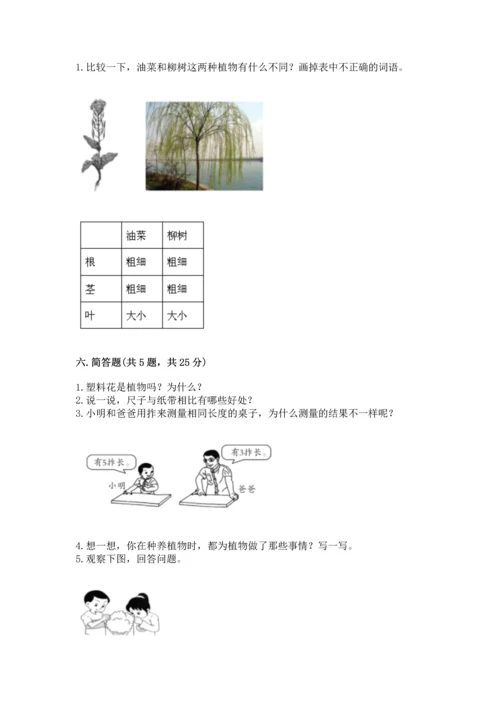 教科版一年级上册科学期末测试卷精品（含答案）.docx