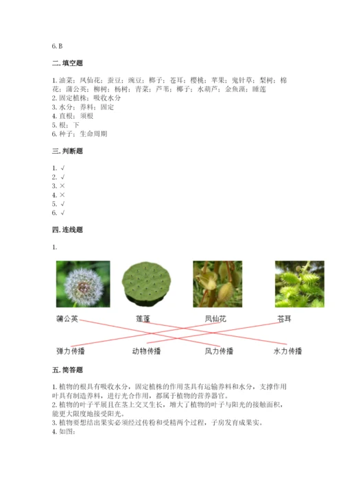 科学四年级下册第一单元植物的生长变化测试卷【必刷】.docx